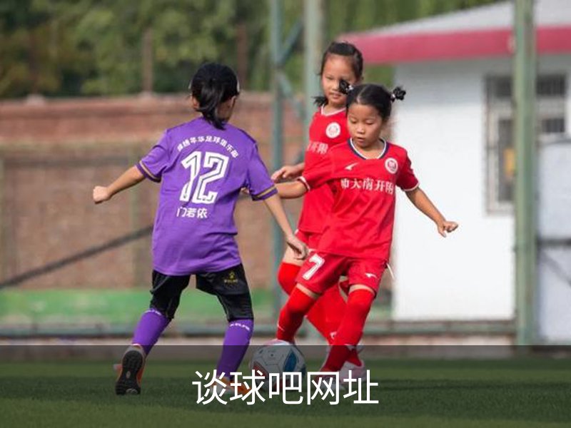 谈球吧网址介绍